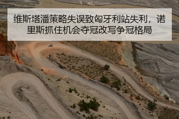 维斯塔潘策略失误致匈牙利站失利，诺里斯抓住机会夺冠改写争冠格局