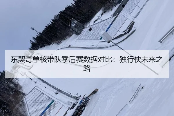 dong-qi-qi-dan-he-dai-dui-ji-hou-sai-shu-ju-dui-bi-du-xing-xia-wei-lai-zhi-lu-3-607.jpg