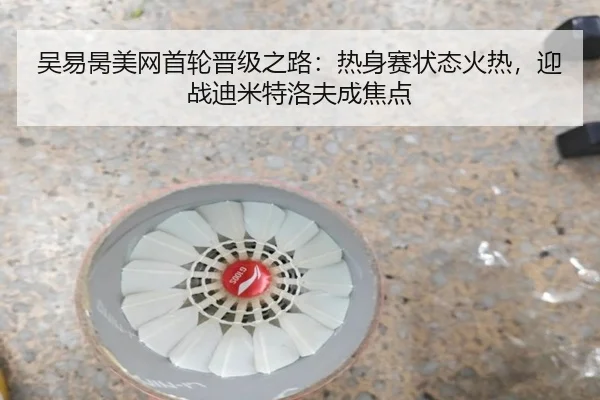 wu-yi-bing-mei-wang-shou-lun-jin-ji-zhi-lu-re-shen-sai-zhuang-tai-huo-re-ying-zhan-di-mi-te-luo-fu-cheng-jiao-dian-2-530.jpg